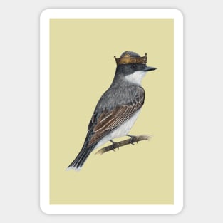 Eastern kingbird Sticker